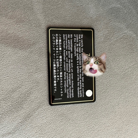 Authentic Vintage Chanel Travel Bag with Authenticity Card - Picture 6 of 8